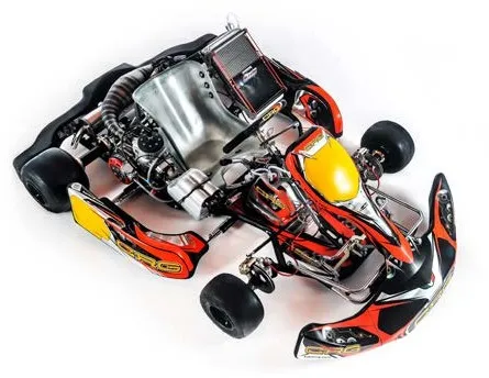 CRG картинг: история компании, пилоты Формулы 1, шасси Racing и Rental | Gripline